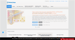 Desktop Screenshot of mutlulukcubugu.org